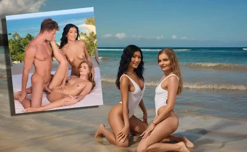 Vixen Dolly Orchid Fibi Euro Hotel Vixennn Season 3 Episode 10 Try The Beach 24-09-2026 Porn Video